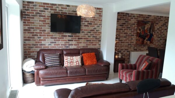 Feature walll brick slip