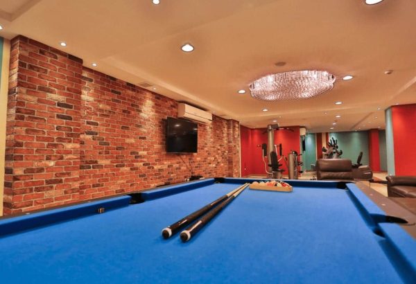 Old Coach House Brick Slips pool room